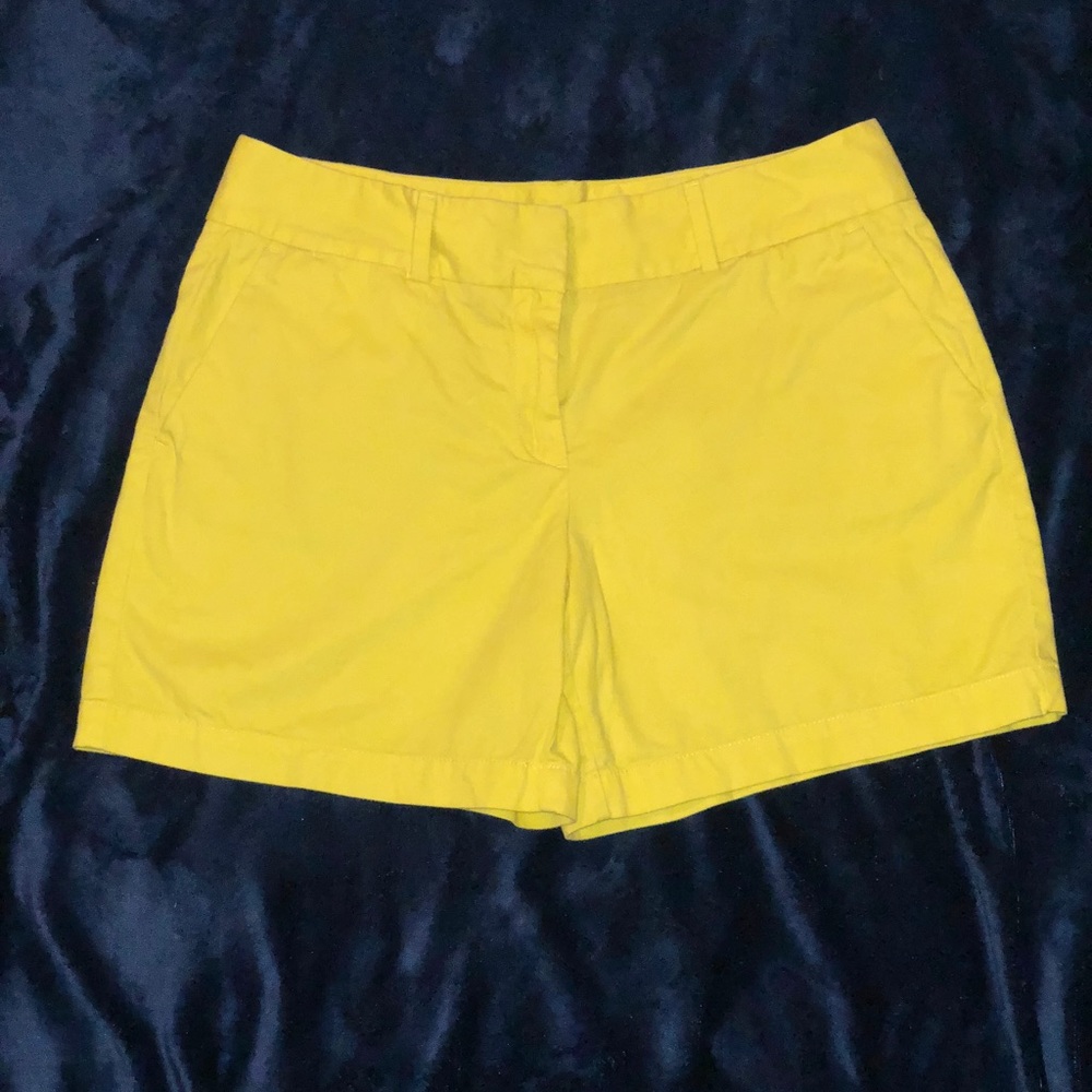 Ann Taylor LOFT Riviera Shorts